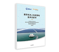 漂浮式水上光伏發電技術白皮書