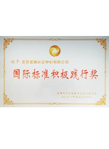 國際標準積極踐行獎